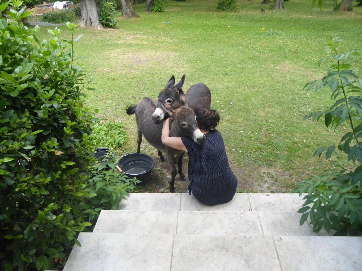 L'Ame Des Hospitaliers Bed & Breakfast Courteuil Bagian luar foto